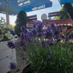 Sommergenuss im Biergarten von La Luna d’Argento